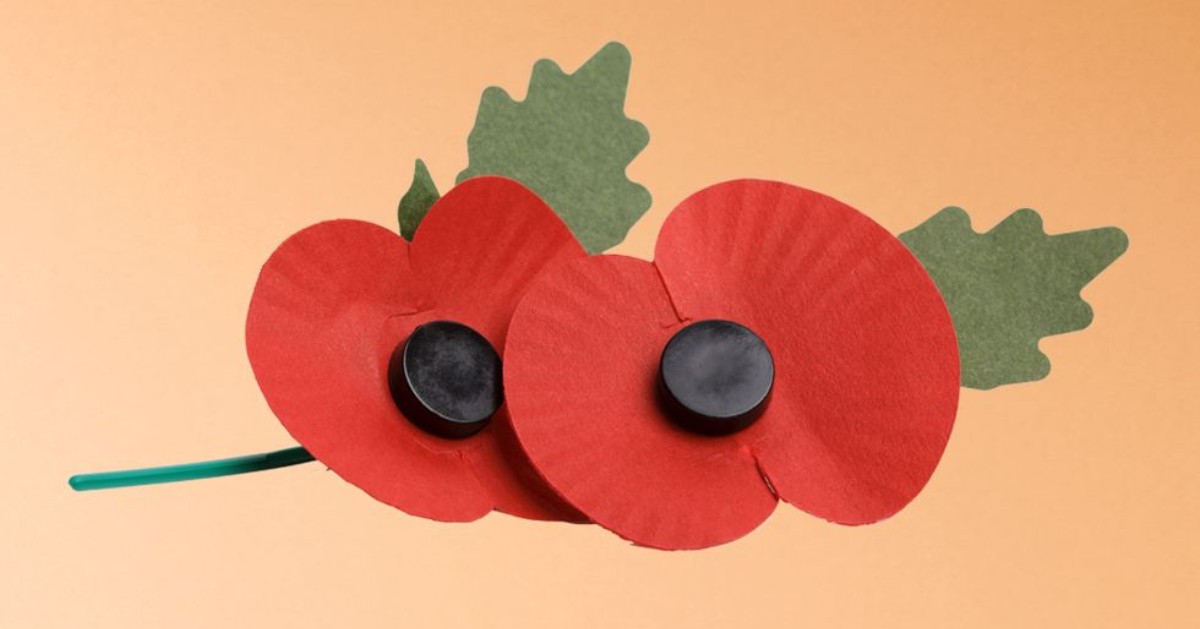 Not long until #RemembranceDay - have you bought a poppy yet?