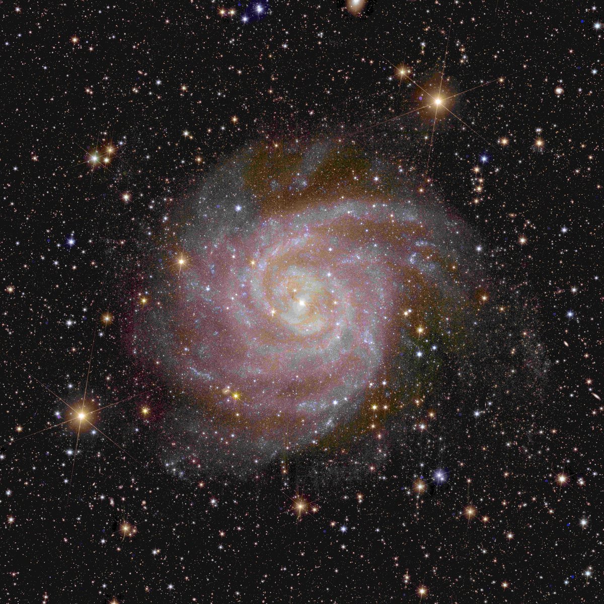 IFAE (@_ifae) on Twitter photo Euclid's dazzling images are here! Our team at IFAE is excited to contribute to this groundbreaking mission togeter with <a href="/ice_csic/">Institute of Space Sciences (ICE-CSIC)</a> <a href="/IEEC_space/">Institut d'Estudis Espacials de Catalunya (IEEC)</a> <a href="/IAC_Astrofisica/">IAC Astrofísica</a> <a href="/UPCToficial/">Universidad Politécnica de Cartagena | UPCT</a> and the Port d'Informació Científica (PIC).
ifae.es/news/2023/11/0… Euclid's dazzling images are here! Our team at IFAE is excited to contribute to this groundbreaking mission togeter with <a href="/ice_csic/">Institute of Space Sciences (ICE-CSIC)</a> <a href="/IEEC_space/">Institut d'Estudis Espacials de Catalunya (IEEC)</a> <a href="/IAC_Astrofisica/">IAC Astrofísica</a> <a href="/UPCToficial/">Universidad Politécnica de Cartagena | UPCT</a> and the Port d'Informació Científica (PIC).
ifae.es/news/2023/11/0…