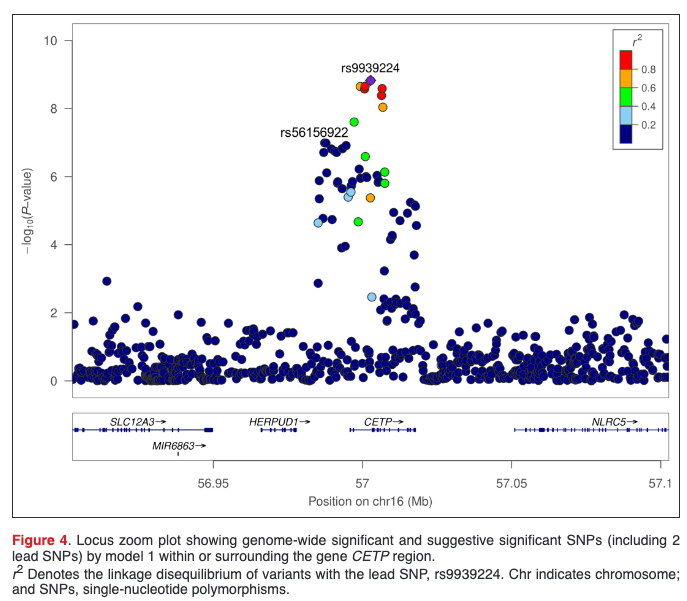 pnatarajanmd's tweet photo. CETP is still in the mix for CVD. Delighted to contribute to this new analysis in ASPREE from @clyumath @ProfSNicholls @PaulLacaze on the genetics of CV resilience among older adults without CVD https://t.co/GIN8C5qVwF @JAHA_AHA #AHA23 https://t.co/Jnx13hPtjk
