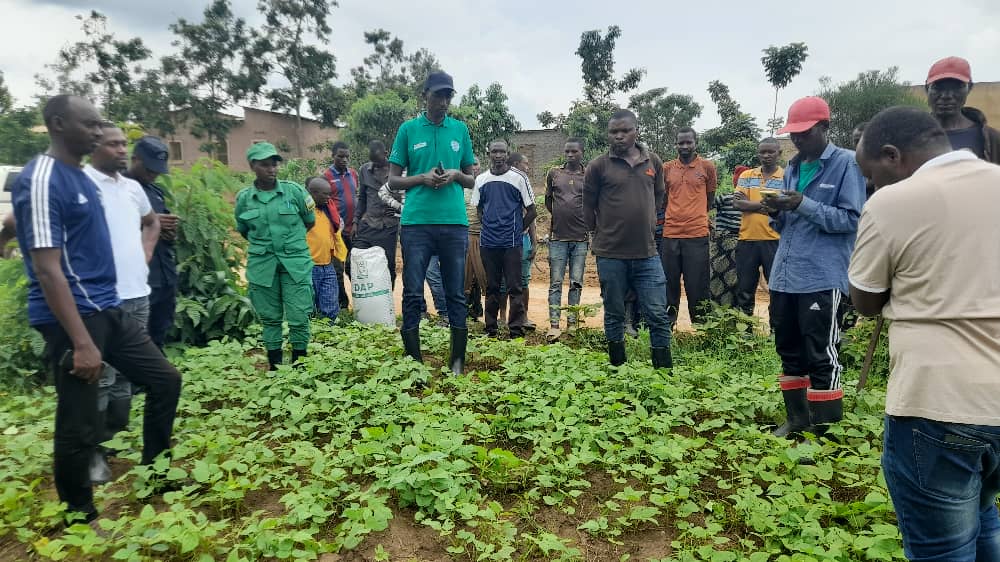 Rukumberi Sector tweet media