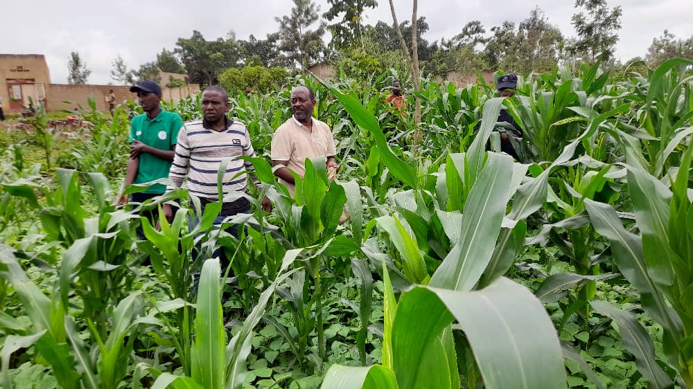 Rukumberi Sector tweet media