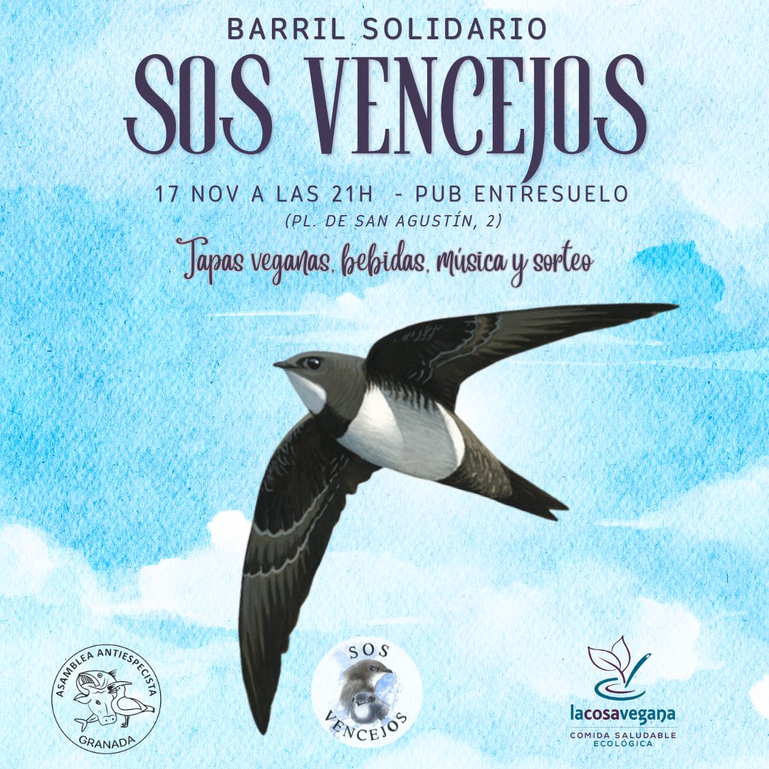 La Asamblea Antiespecista de Granada ha organizado un barril solidario para recaudar dinero para <a href="/sosvencejos/">SOS Vencejos</a> el viernes 17 de Noviembre🌱✊