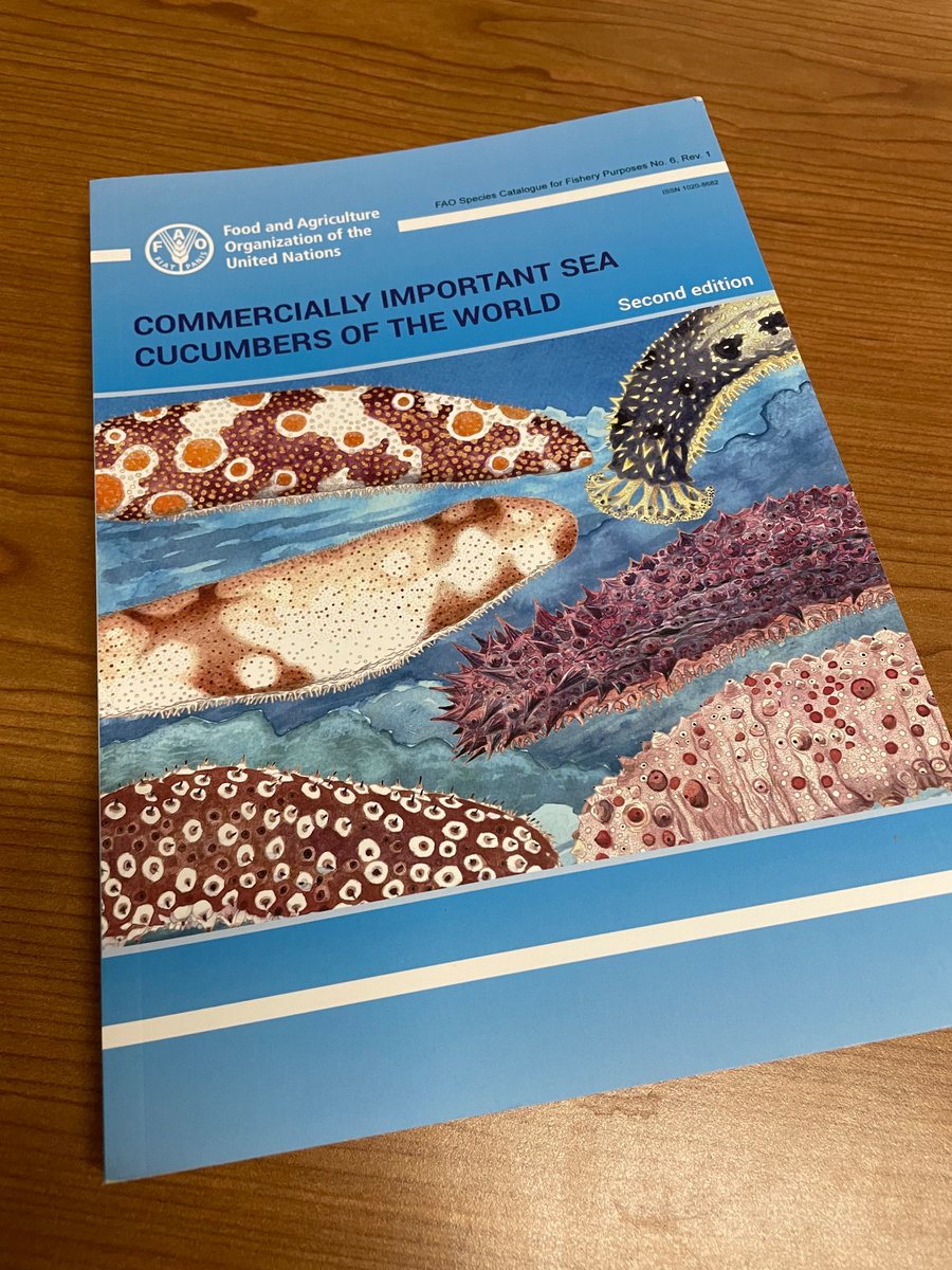AbbyEliBennett's tweet photo. Commercially important sea cucumbers of the world 😍. You, too, can peruse them at https://t.co/NApiWkUnSO. 
Thank you @kimfriedmans ! https://t.co/JzUT5AcggZ