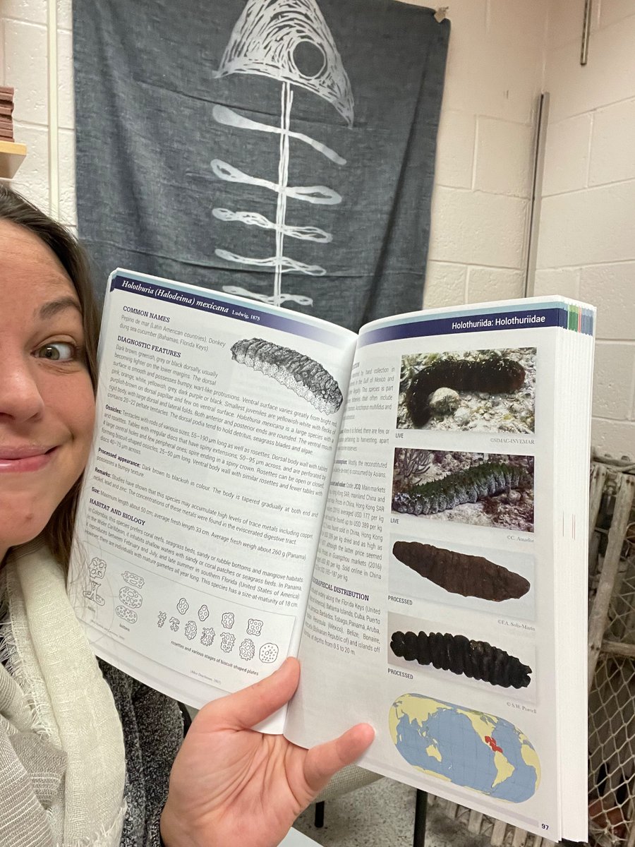 Commercially important sea cucumbers of the world 😍. You, too, can peruse them at fao.org/documents/card…. 
Thank you <a href="/kimfriedmans/">Kim Friedman</a> !