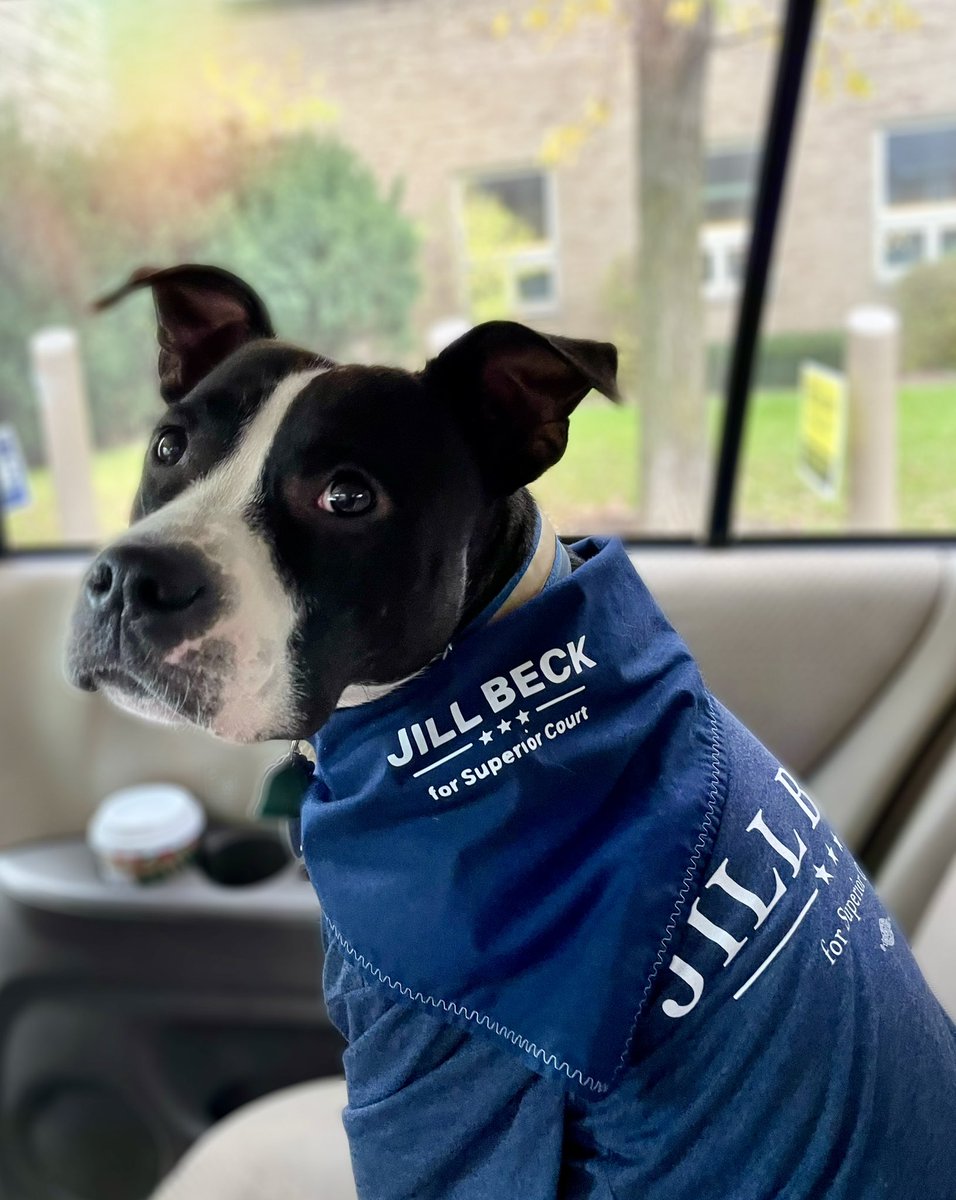 Jill Beck tweet media