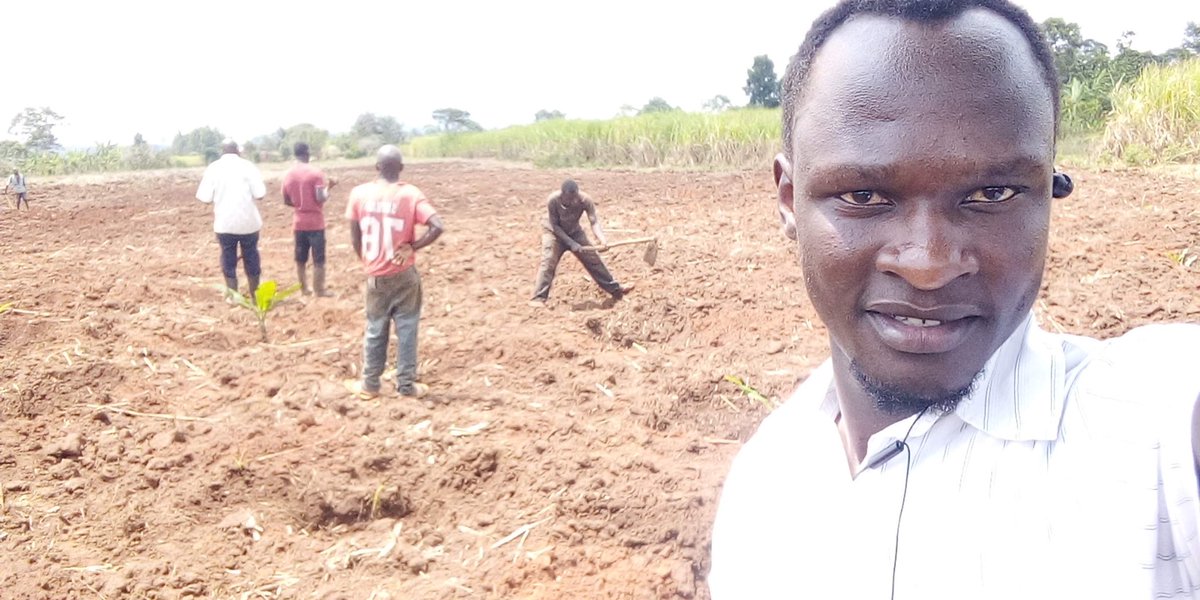 HansTenywa's tweet photo. During the lockdown in august 2020
I started a forest project with the aim to restore biodiversity in the community but also to increase wildlife habitat
I planted local food crops with indigenous trees
This turned out to be a duty to make sure the trees grow
#MyForest https://t.co/j5ftkxeCte