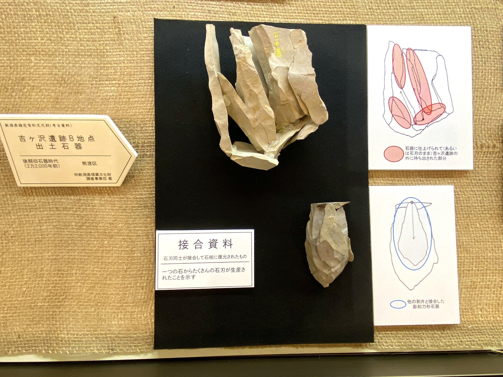 ⭐旧石器・化石⭐ 打製石器 文化遺産オンライン