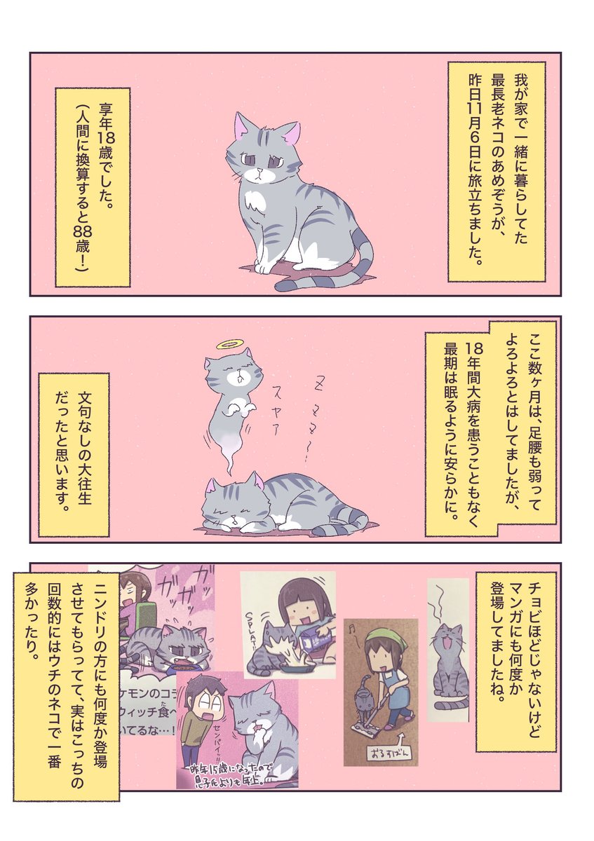 ご報告です | あやたろす@ニンドリ連載中 さんのマンガ | ツイコミ(仮)