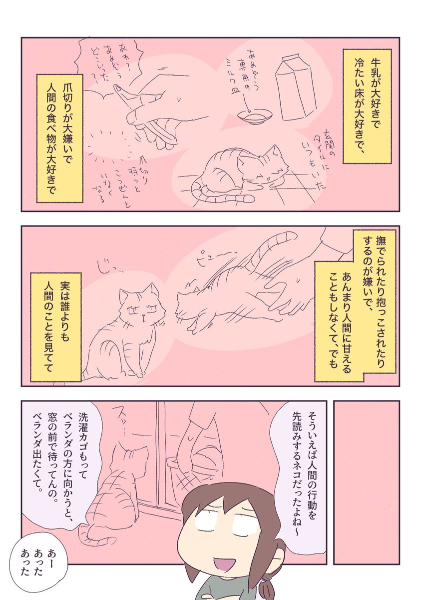 ご報告です 