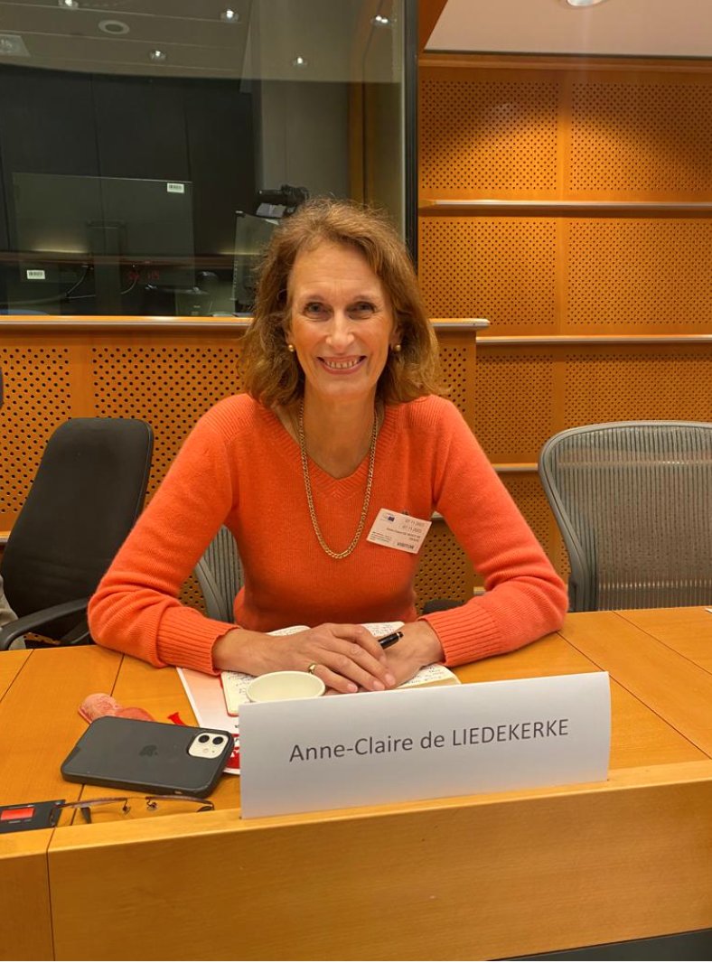 MMM4Mothers's tweet image. @RiseupPPD launch today: &quot;Imperative to work with researchers, policy makers &amp;amp; civil society so findings can lead to changes in the lives of women who are mothers, their children &amp;amp; their family. Better future for all&quot; - @acdelied 

#peripartumdepression #maternalMHmatters