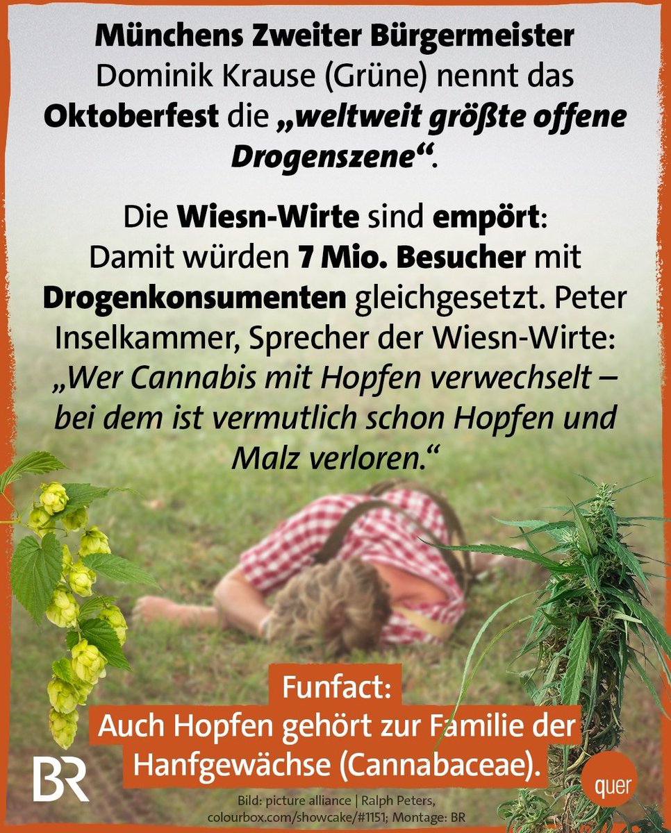 Nut mal so... ihr versoffenen Tölpel...