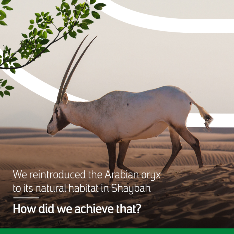 aramco tweet picture