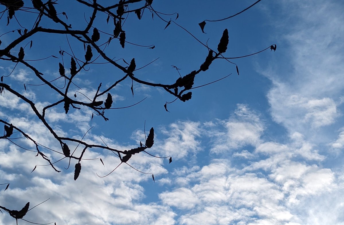 testController's tweet image. Ein Ticket fürn Himmel über...
🎟️🔵🏙️
DM plz.