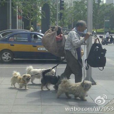 This kind man and his #RescuePets are in danger in #China. There is no law to protect his rescues from unspeakable cruelty. A poor person has zero power with police and the justice system.