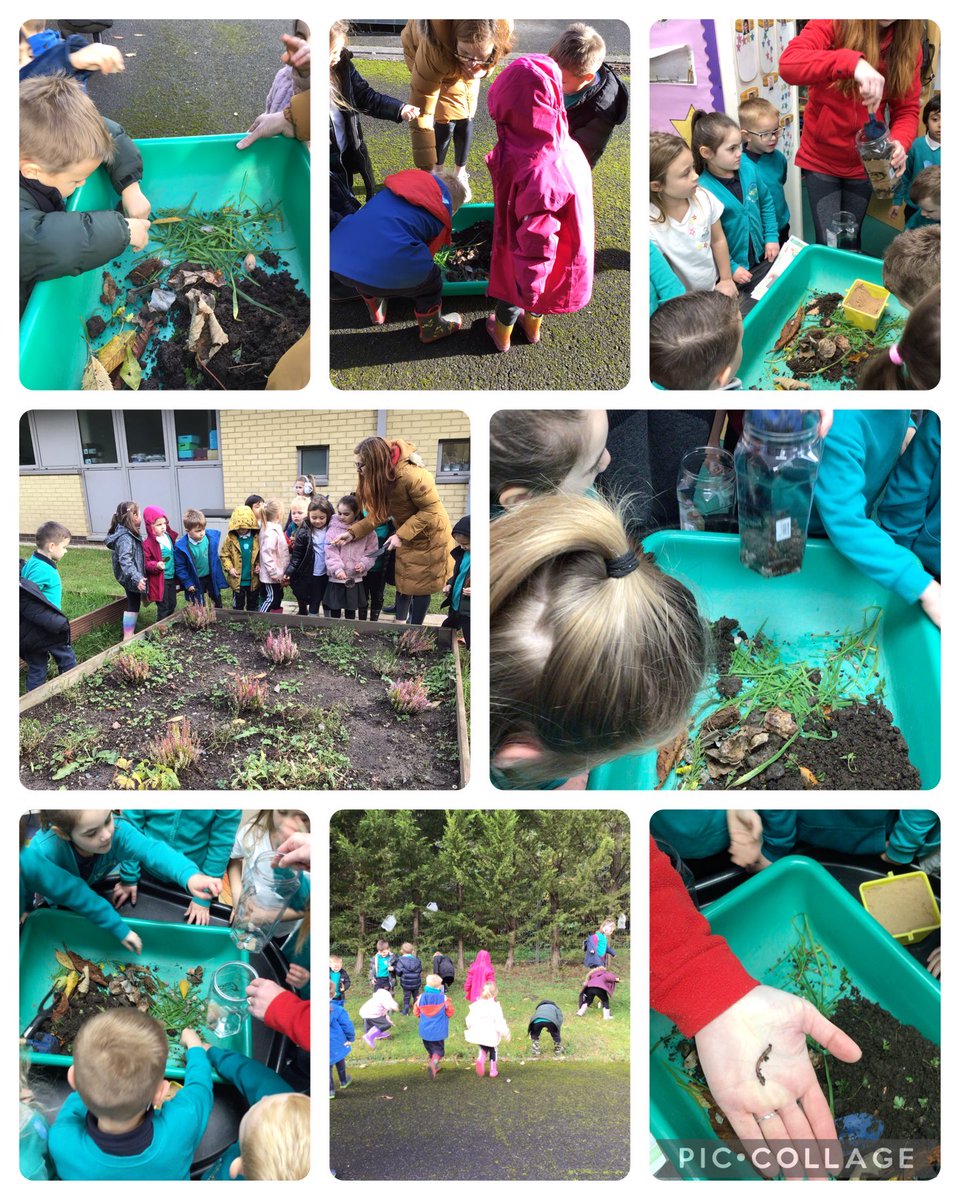 Dosbarth1 SG tweet media