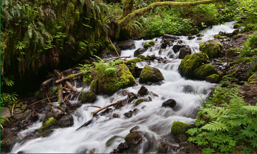 Greg Norris tweet media