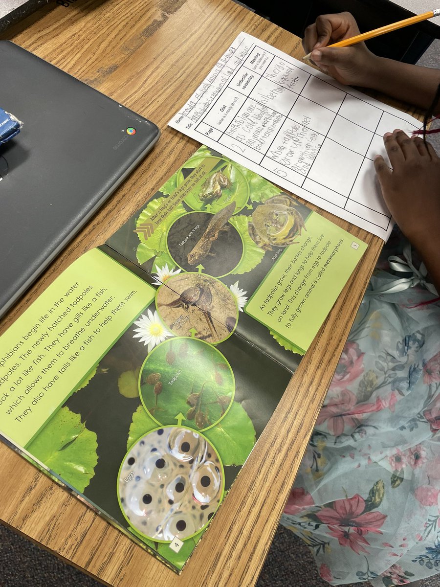 AshleyPearson54's tweet image. We’re becoming frog experts! 🐸 

@OkolonaES @JcpsElemEla #BuildingKnowledge #SoR #Research