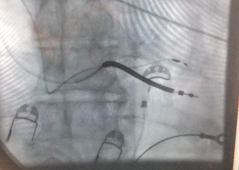 javad mikaeili tweet media