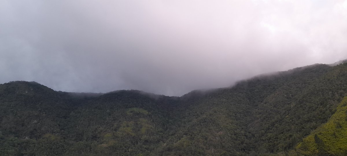 CaroleBeckford's tweet photo. #HillSideView #Jamaica #tuesdayscenes @jahmekyagyal https://t.co/Rb6ds13cUe
