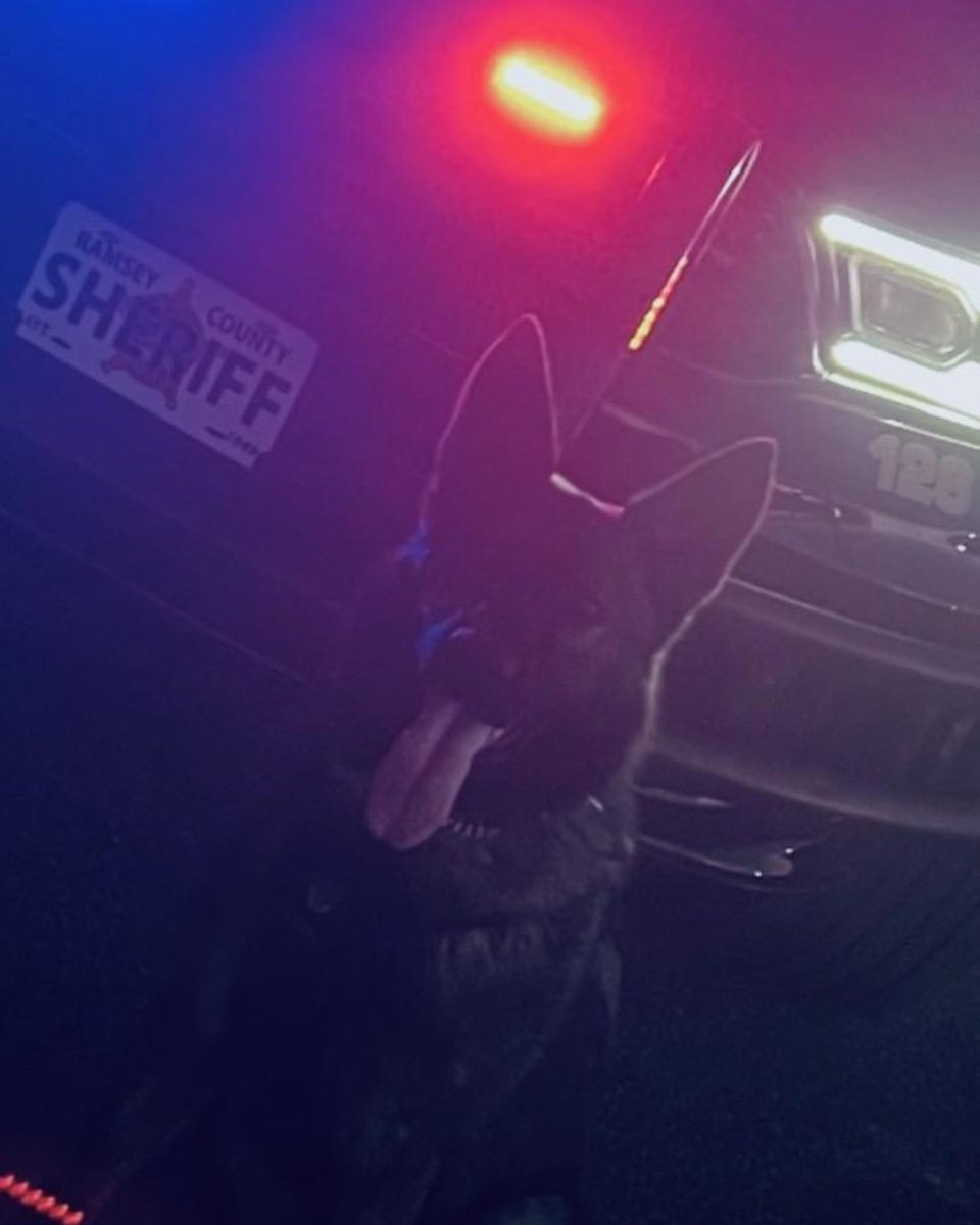 Hidden fentanyl doesn't stand a chance against Sonny. Or Cross, Zeus, Smoke, Kylo or Diggs. All six of our K-9s recently achieved certification in narcotics detection and patrol by the National Police Canine Association.