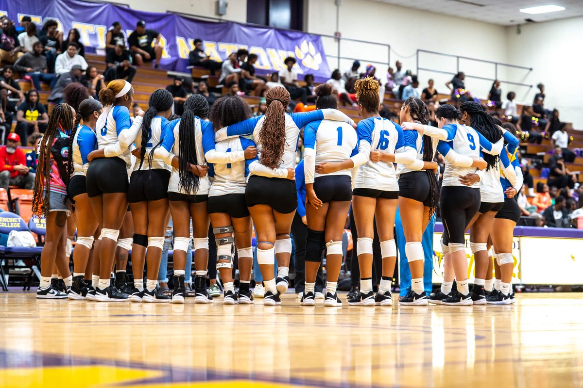 AllenU__WVB's tweet photo. Calling All Transfers and Uncommitted Seniors

 AU VOLLEYBALL  Recruiting Needs for 2024 

DS 
MB 
OH 
Setter 

Email Coach Robinson at drobinson@allenuniversity.edu! 

Come be a part of the HIVE!!!! https://t.co/KBKiERw1yZ