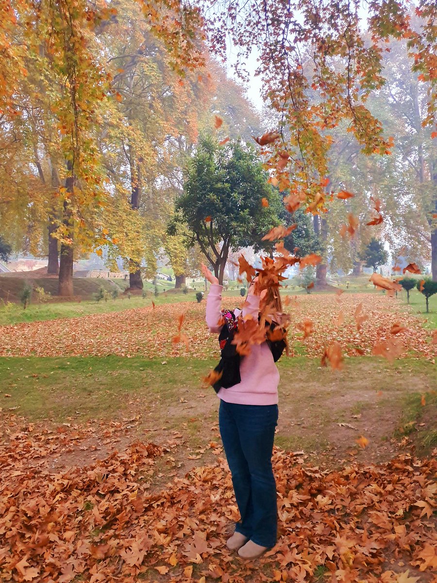 Mehak Shahid tweet media