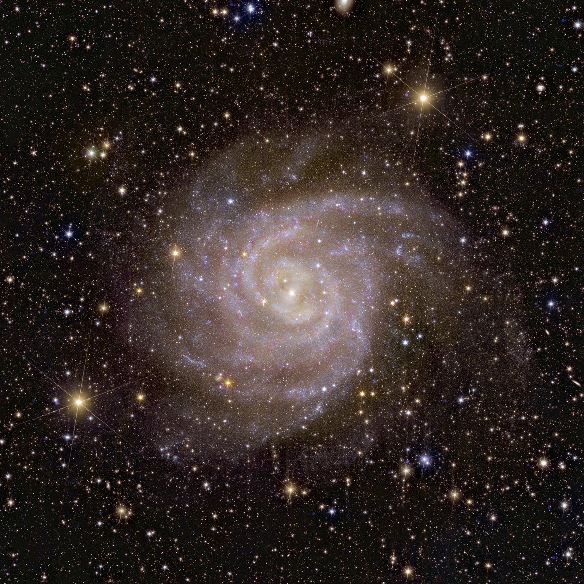 EricLagadec's tweet photo. Et voici donc les premières images de cette mission extraordinaire,Euclid, ui va nous aider à percer les secrets de l'Univers sombre! https://t.co/Bn2BFLDac0