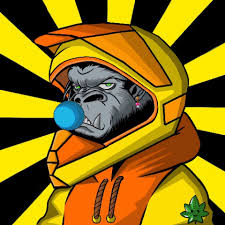 jose Gonzales tweet media