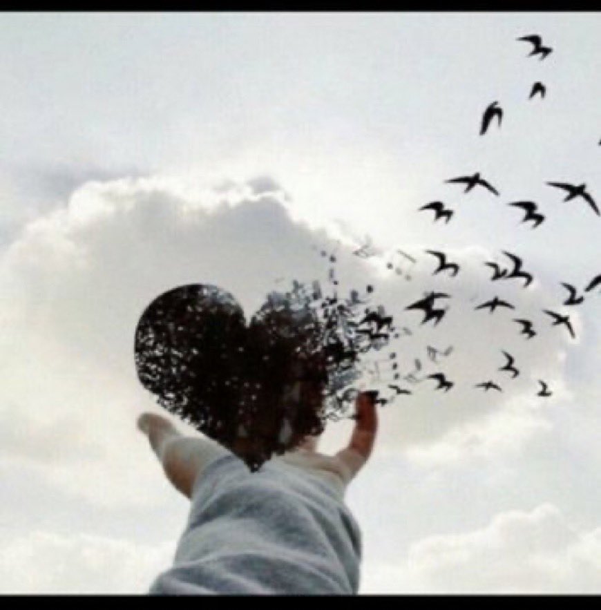 🌸🕊️الوداع القاتل 🌸🕊️

ان ياخذ قلبها وتاخذ قلبه

ويعيشون حياتهم  بدون قلوب 🥲🥲🥲

#بقلمي 
#المسافر
#خاطرتي 
#لها
#له