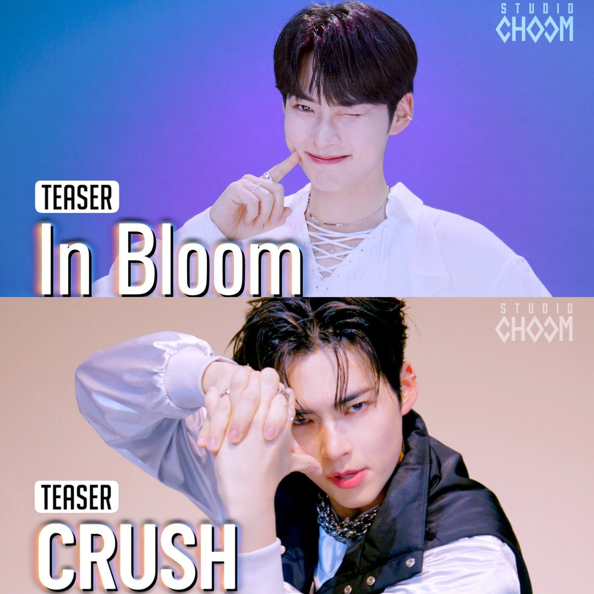 shbpics's tweet photo. these studio choom teaser thumbnails 🔥 https://t.co/i9adLs5F2G