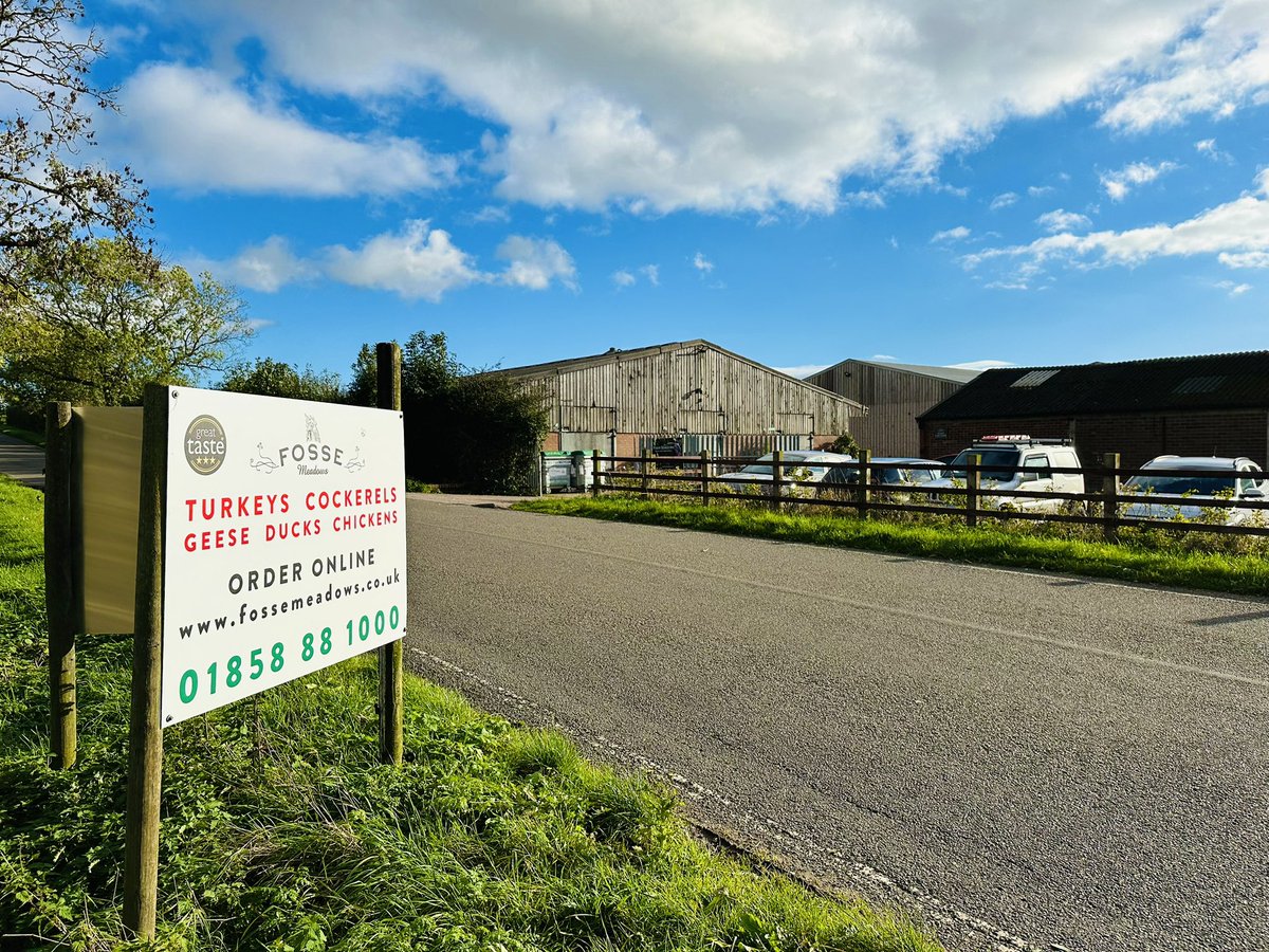 FosseMeadows's tweet photo. Beautiful ☀️ sunshine at our farm North Kilworth.
It’s less than 7 weeks till Christmas Check our online shop & order your festive bird❤️🦃 Smaller & larger size birds sell faster, so don’t delay!
#bronzeturkey #freerange #slowgrown #cockerel #norfolkgoose https://t.co/ZaPkhqZOzx https://t.co/wdDcPPTIfN