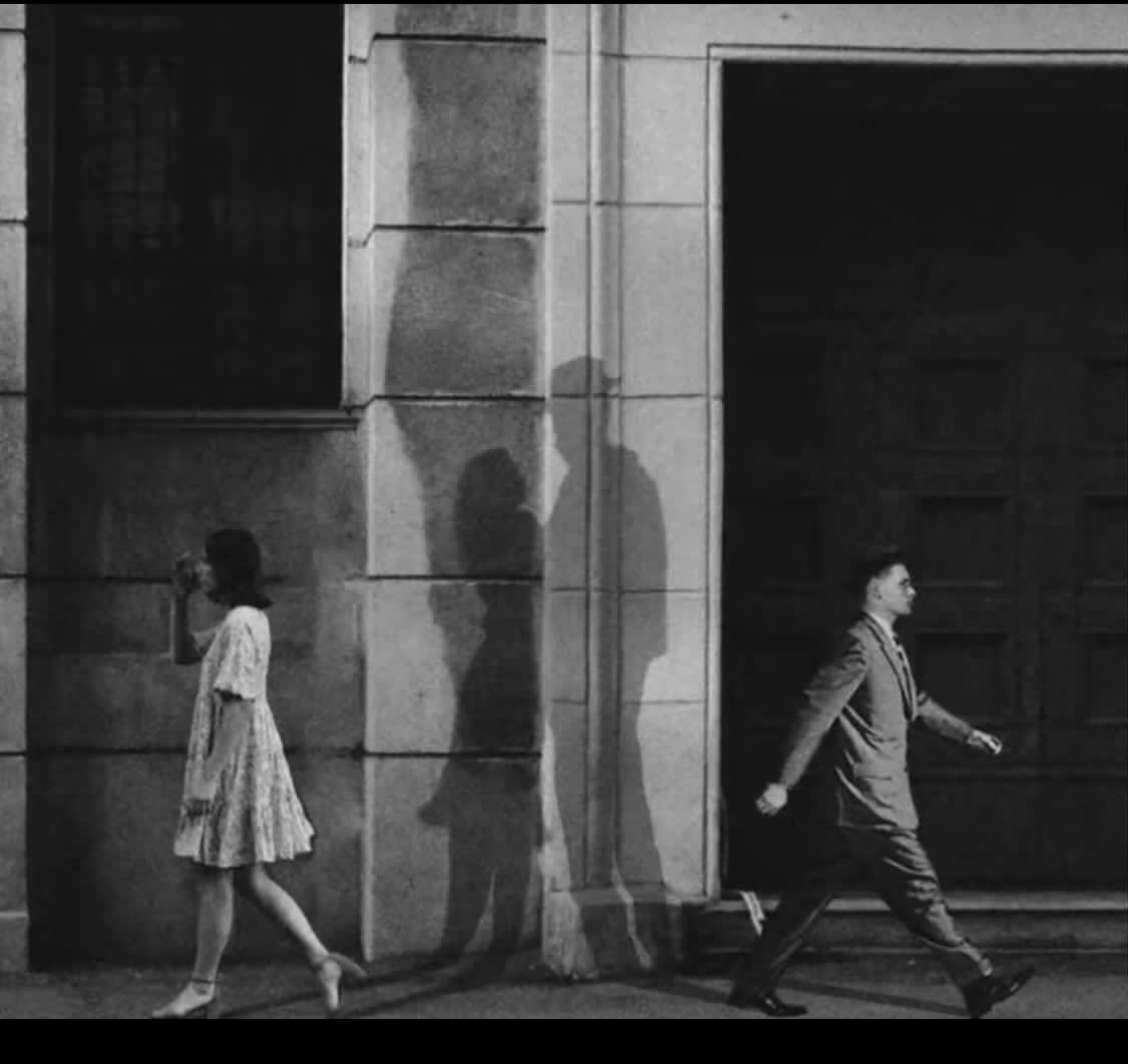 qrenees's tweet image. غالي ولا غيره مْن الناس غالي
ليت البدايه ما بعدها .. نهايه

من يوم رحنا ما بقى له ولا لي
الا ظلال ارواحنا .. فـ البنايه !