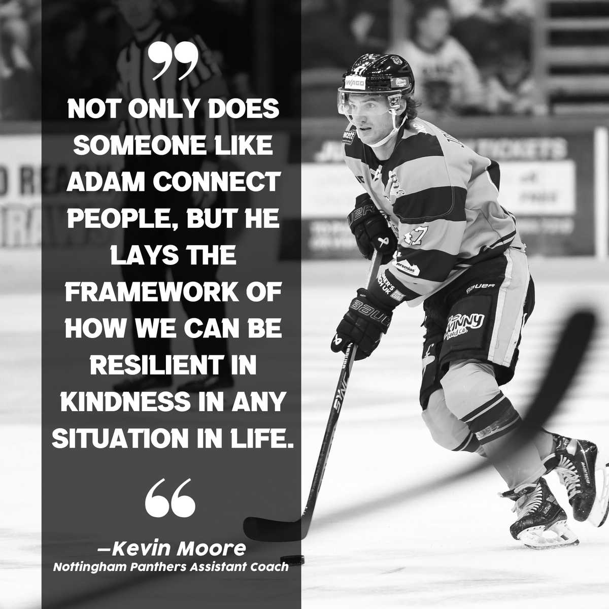 Nottingham Panthers tweet media