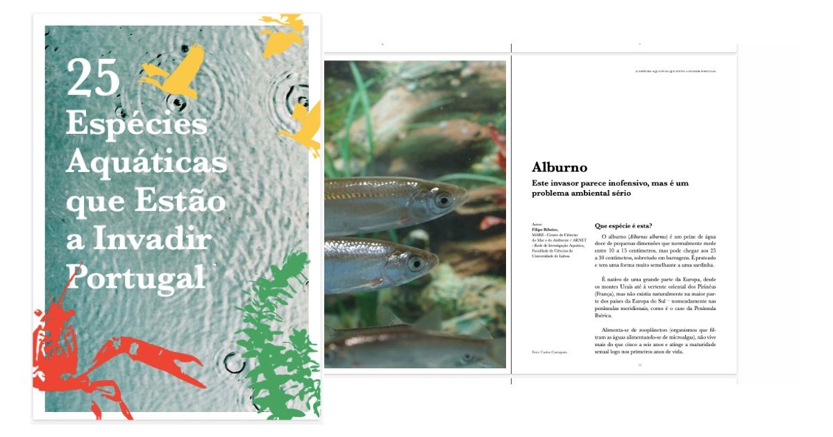 MAREscience's tweet photo. They are 25 species. They are invading. They are dangerous to our rivers. And we need to do something!

https://t.co/NgOAmJxpTx

#invasivespecies #Rivers #books @FC_UL @WilderMag @univdeevora https://t.co/MHLeWCgpWc
