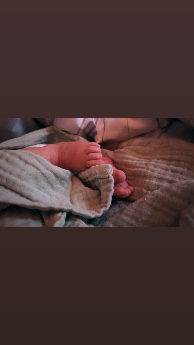 Endlich bald ausreiten gehen. 🥰