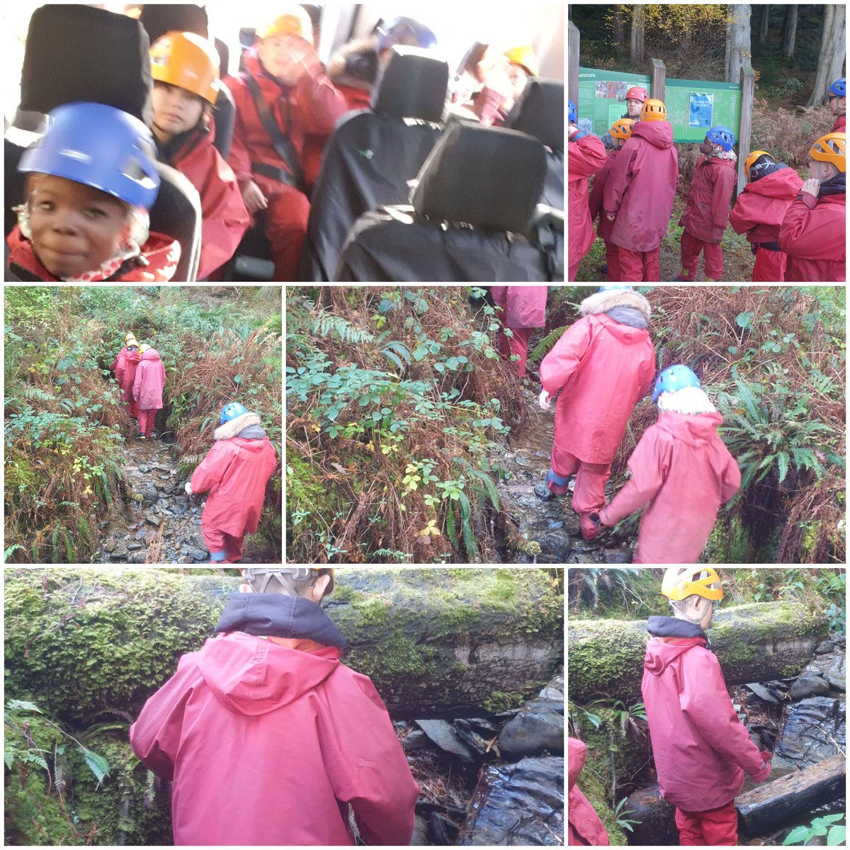 MrsSafiNMPS (@mrssafinmps) on Twitter photo Group 6 went gorge walking this morning, learning about different types of rock, how to make face paint, and using team work, grit and determination to reach the top! <a href="/NiddrieMillPS/">Niddrie Mill</a> Group 6 went gorge walking this morning, learning about different types of rock, how to make face paint, and using team work, grit and determination to reach the top! <a href="/NiddrieMillPS/">Niddrie Mill</a>