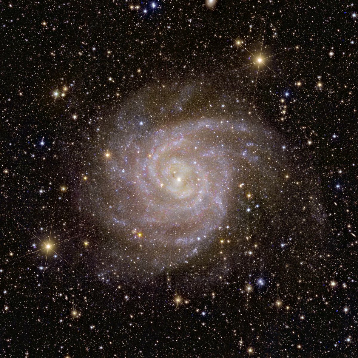German_Fdz's tweet photo. Hoy estrenamos nuevos ojos, #Euclid.
Nunca antes un telescopio había sido capaz de tomar imágenes astronómicas tan nítidas sobre un área tan grande del cielo mientras miraba tan profundamente en el universo distante. https://t.co/n88QJiFI77