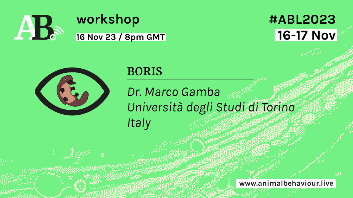 Animal Behaviour Live (@animalbehavlive) on Twitter photo 📣 FREE WORKSHOP #2 📣 Dr. <a href="/Marco_Gamba/">Marco Gamba</a> from <a href="/unito/">Università di Torino</a> will present BORIS, a free & easy-to-use event logging software for 🎥video/audio🎤 coding and live observations🕵️
📅 it’s november 16 ⏰ 8pm GMT #ABL2023. If not done yet (quick! Or you will miss so many great and free events!) 📣 FREE WORKSHOP #2 📣 Dr. <a href="/Marco_Gamba/">Marco Gamba</a> from <a href="/unito/">Università di Torino</a> will present BORIS, a free & easy-to-use event logging software for 🎥video/audio🎤 coding and live observations🕵️
📅 it’s november 16 ⏰ 8pm GMT #ABL2023. If not done yet (quick! Or you will miss so many great and free events!)