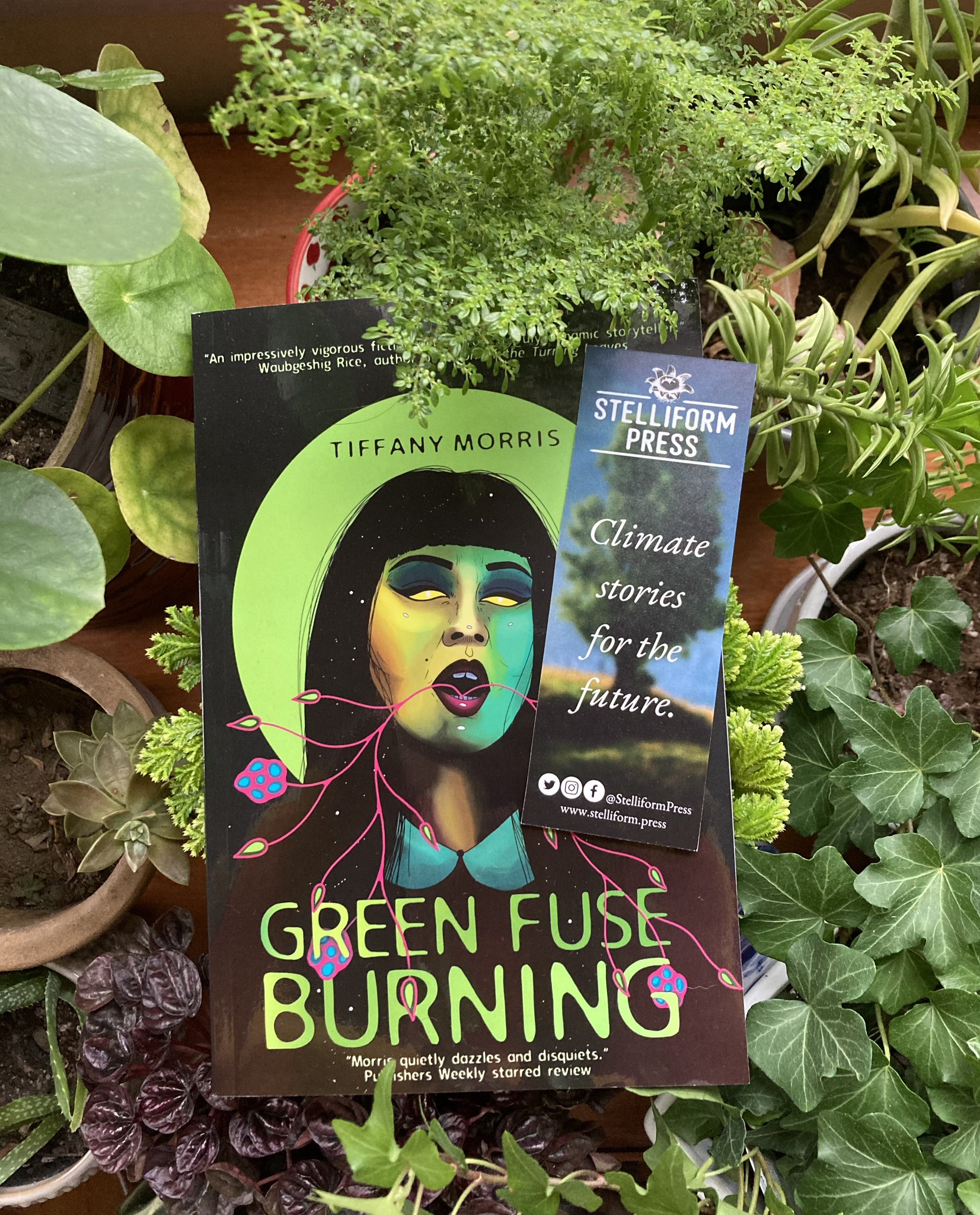 Marisca Pichette (she/they) 🦇🕸🍂🌔 on X: Swampcore is here!! Very  excited at the arrival of @tiffmorris's GREEN FUSE BURNING from  @StelliformPress 🪲🌿🌾🦎  / X