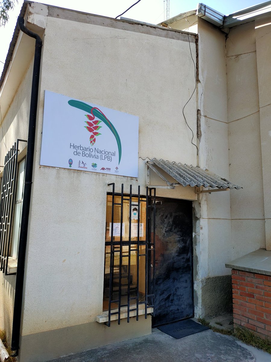 🗺️¿Turismo de herbarios? ✈️

Imagina organizar un viaje que incluya la visita a un herbario. 
Pues, nuestros colegas de <a href="/UCMflaglab/">UCM Flag Lab</a> así lo hicieron durante su expedición científica a Bolivia🇧🇴