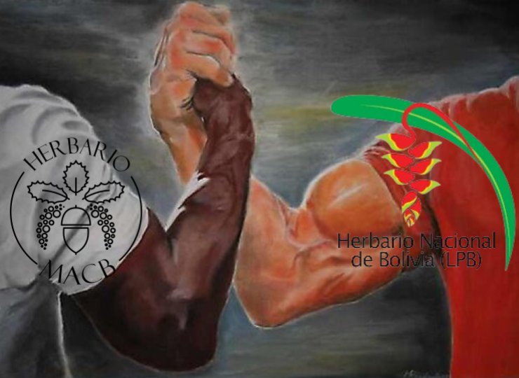 Desde luego que ha sido una experiencia muy enriquecedora que jamas olvidaran, ojalá nos lleguen los pliegos pronto porque les tenemos muchísimas ganas.

Unir fuerzas entre herbarios es siempre beneficioso y tenemos claro que esta colaboración no ha hecho más que empezar💪🏻🥰