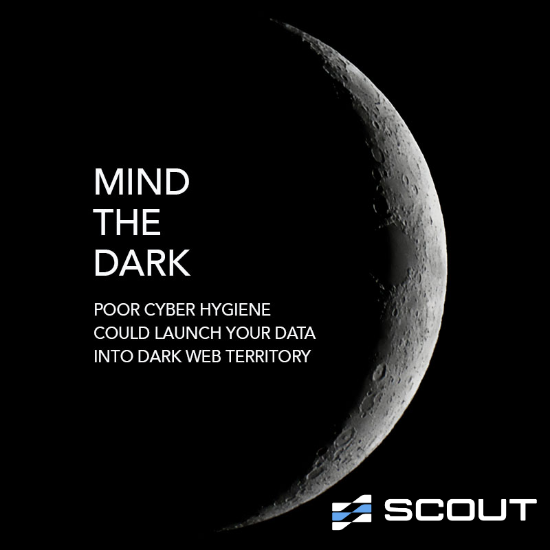 scoutnetworks's tweet photo. Do you have staff credentials or vital buisness info that has leaked to the Dark Web? We can find out.

Contact us today for a complimentary Dark Web scan.

#Louisville #CyberSecurity https://t.co/WxPYV6ECFo