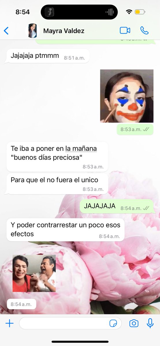 MariPotier's tweet image. Más primas así por favor 🫰🏼