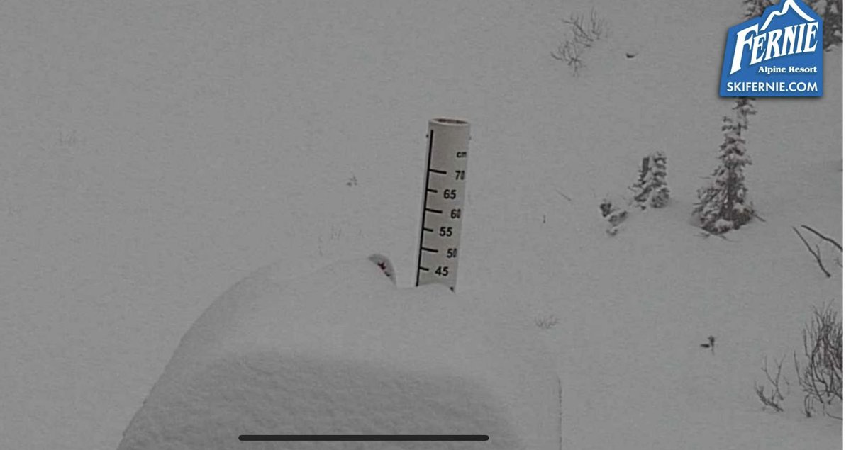 Powder Matt tweet media