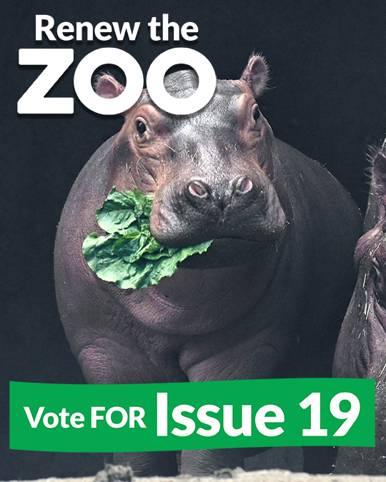 CincinnatiZoo's tweet photo. Renew the Zoo! Vote FOR Issue 19 today! Your support is critical to the Zoo’s future success, and renewing will not raise your taxes. Election Day is today, Tuesday, November 7. Polls Open 6:30 am- 7:30 pm. https://t.co/sPoN4yBVjb https://t.co/Ji2yS0Oezt