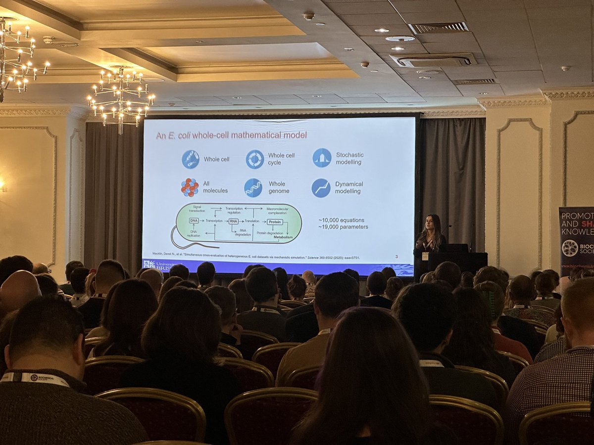 <a href="/marucci_lucia/">Lucia Marucci</a> @ioanagherman5 <a href="/PR0FG/">Claire G</a> <a href="/ZsAbdallah/">Zahraa Abdallah</a> <a href="/pangweijlu/">Wei Pang</a> <a href="/squishybinary/">Joshua Rees-Garbutt</a> @ioanagherman5 presenting this work at #SBUK2023. Great talk!