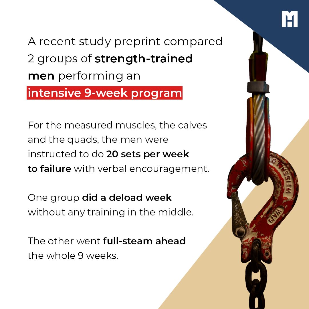 MennoHenselmans's tweet image. Deload weeks impair gains, recent study finds

#mennohenselmans #deload #deloadweek #gains #gymrat #personaltrainer #liftingweights #strengthtraining #fitnessjourney #gymlife #personaltrainer #personaltrainers #personaltraining #personaltrainerlife #personaltraineronline