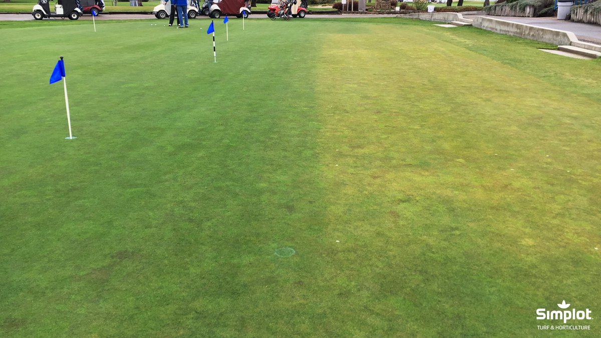 Can you guess where our Ambient® Plus, Turf Color Enhancer was applied? 😏
Learn more here: ow.ly/zkxA50PS8yo