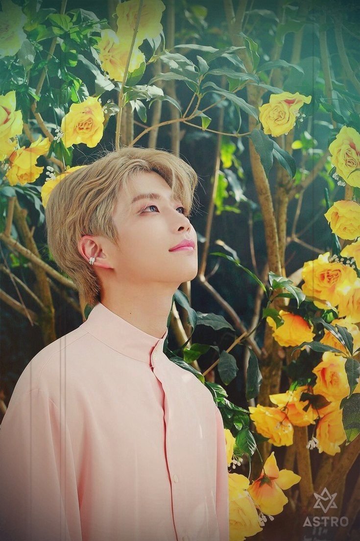 chanao7070's tweet photo. みょんさん💛
お帰りなさい😌
待ってたよ～👋😊

#아로하의_햇살_명준이가_온다잉
@offclASTRO https://t.co/0Fqo3y3AQ9