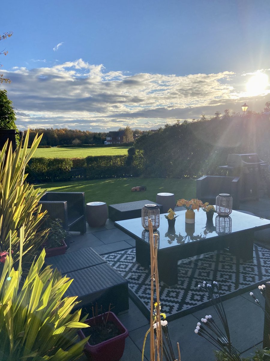 Bev Reilly 🌈🦋 tweet media